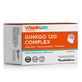 ginkgo_120