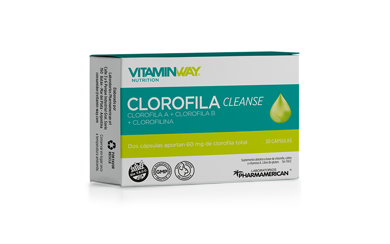 clorofila_cleanse